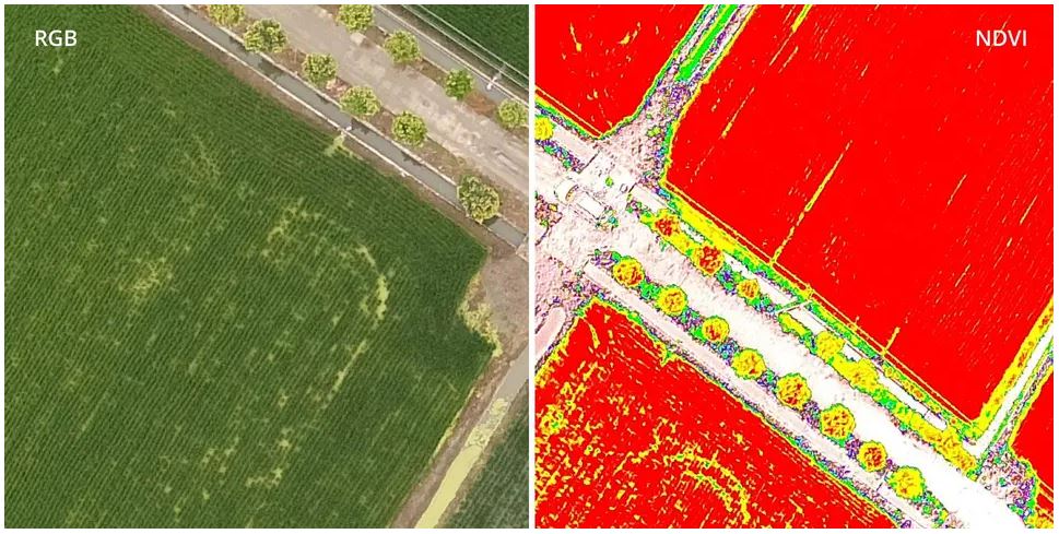 DJI Phantom 4 Multiespectral