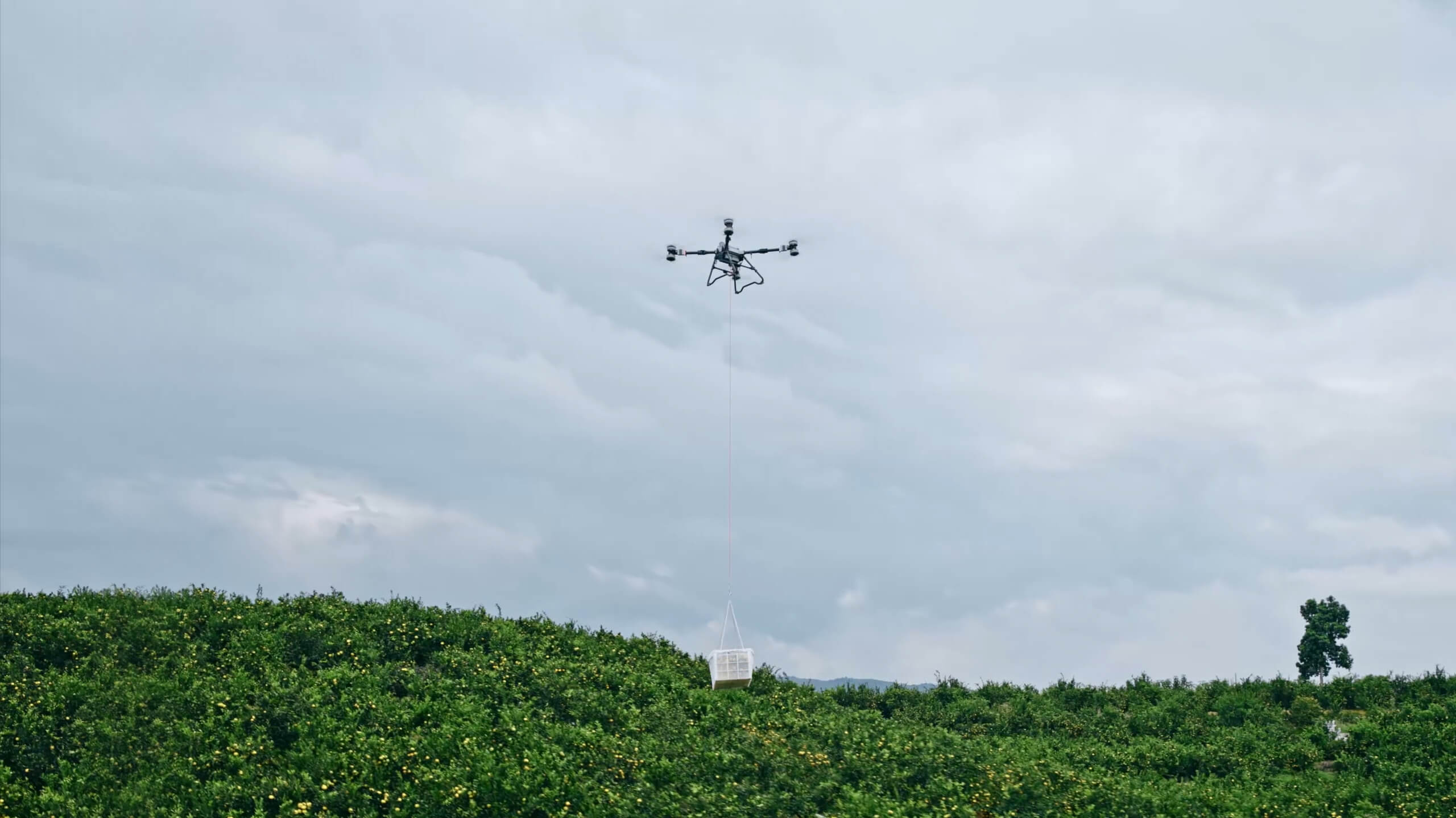 DJI AGRAS T100 durante una operación de elevación de carga