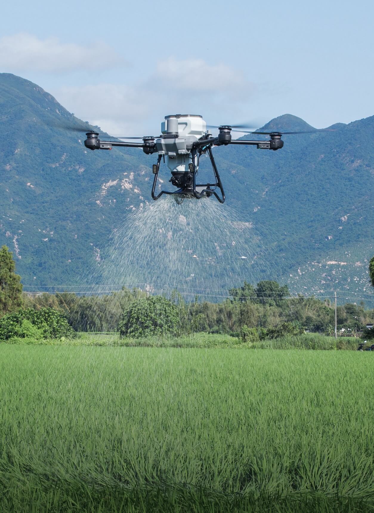 DJI AGRAS T25P esparciendo material granular