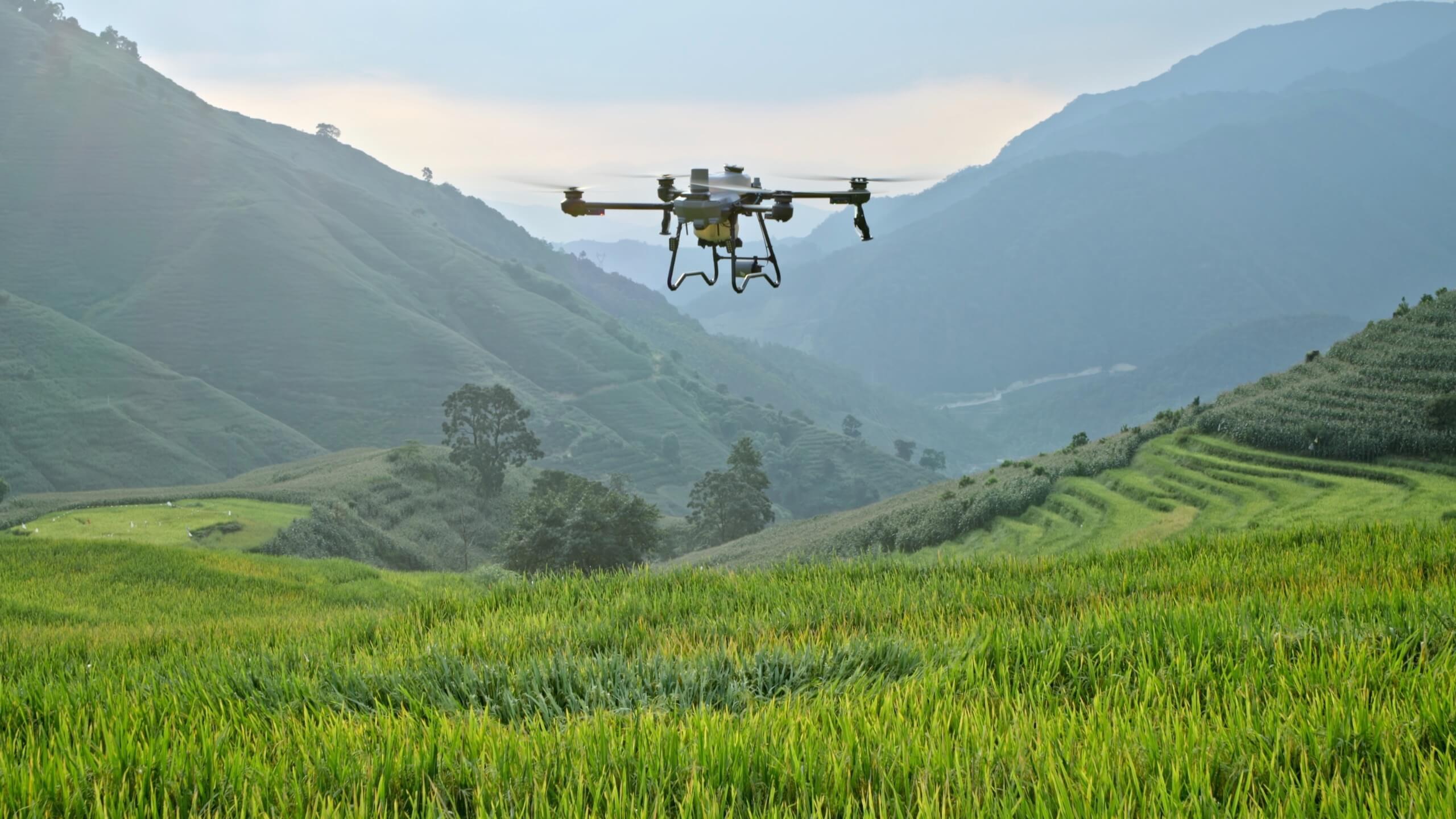 DJI AGRAS T25P en vuelo sobre una parcela agrícola