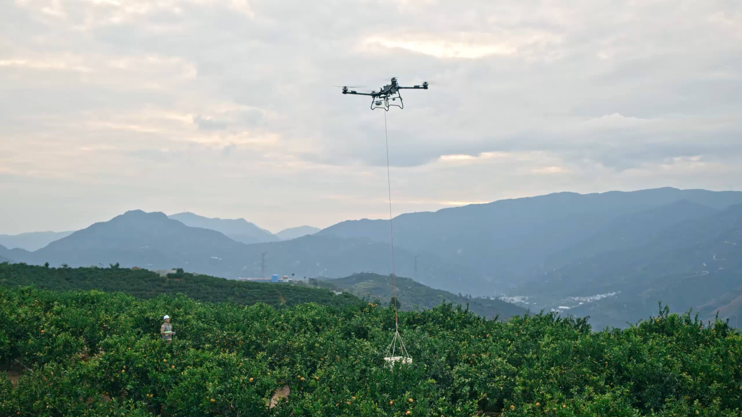 DJI AGRAS T70P durante una operación de elevación de carga